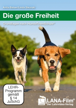 Die große Freiheit – Grundlagen nach HundeTeamSchule® (DVD)